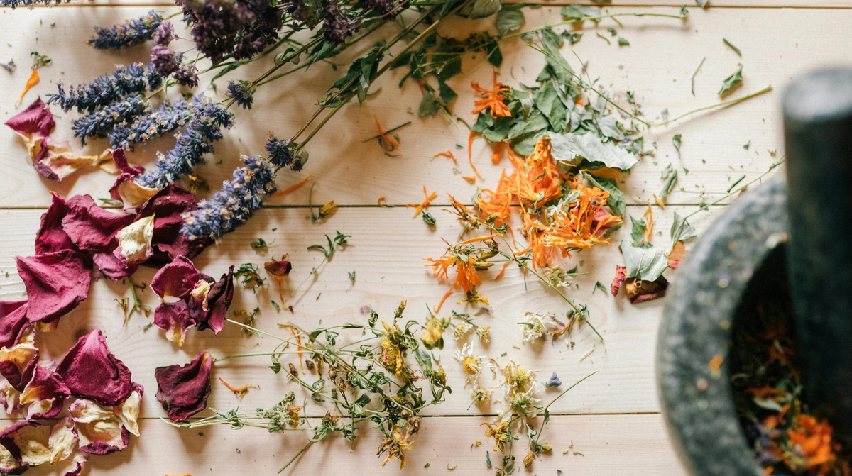 The Synergy of Mindset and Supplements: Why Holistic Longevity Works